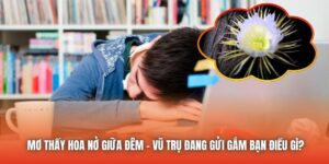 Mơ Thấy Hoa Nở Giữa Đêm - Vũ Trụ Đang Gửi Gắm Bạn Điều Gì?